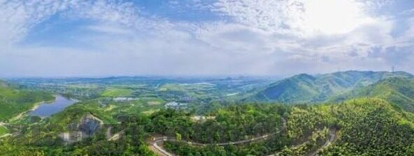 麻豆传媒大学-麻豆传媒大学，创意与技术的交汇点