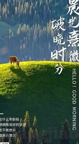 麻豆精品国产91福利在线观看-优雅观赏，领略国产视频的独特魅力